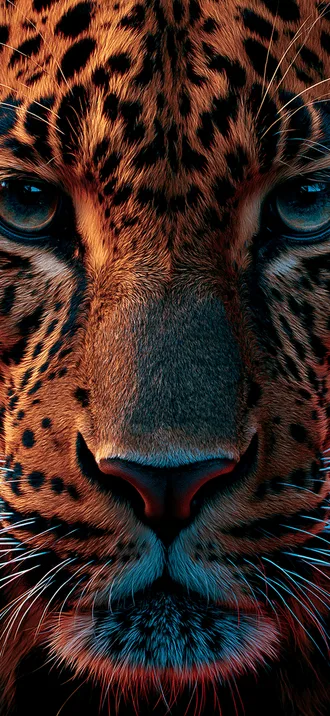 Animals 006 — Animals wallpaper for iPhone 4K lock screen